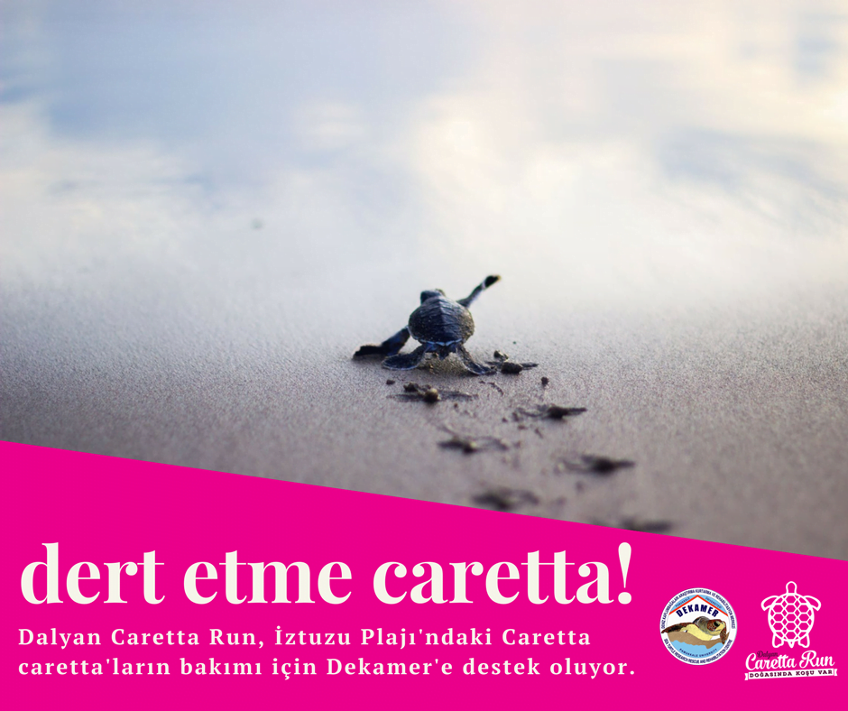 DERT ETME CARETTA - Caretta Run'a davet, DEKAMER'e destek çağrısı